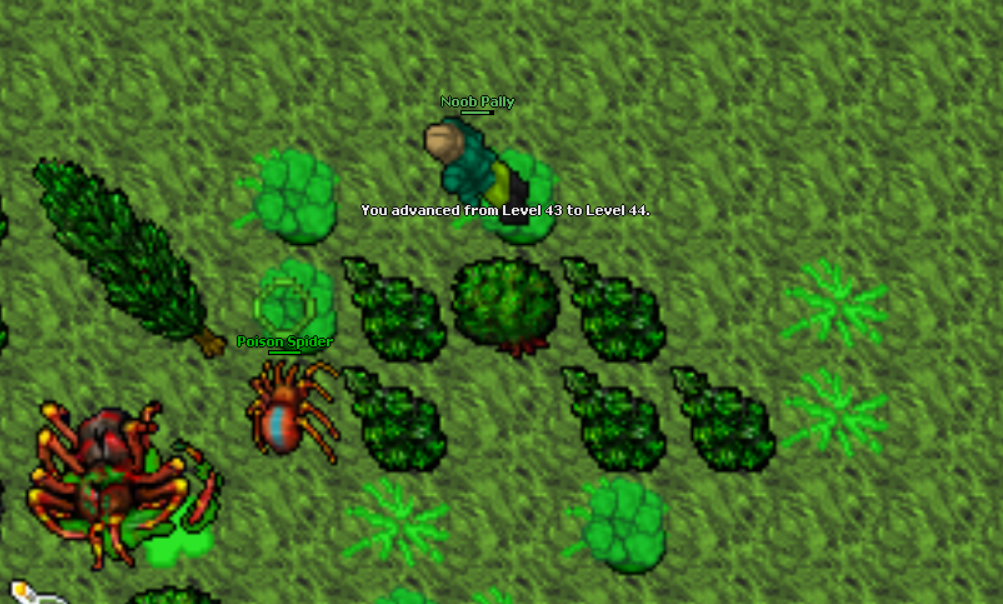 Screeny z Tibiantisa :-)-44.png