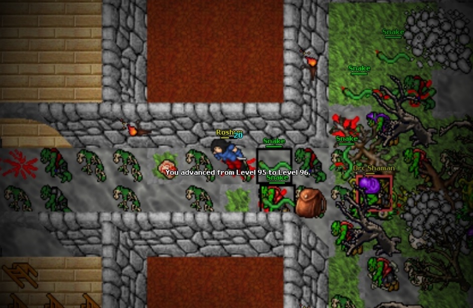 Screeny z Tibiantisa :-)-96.jpg
