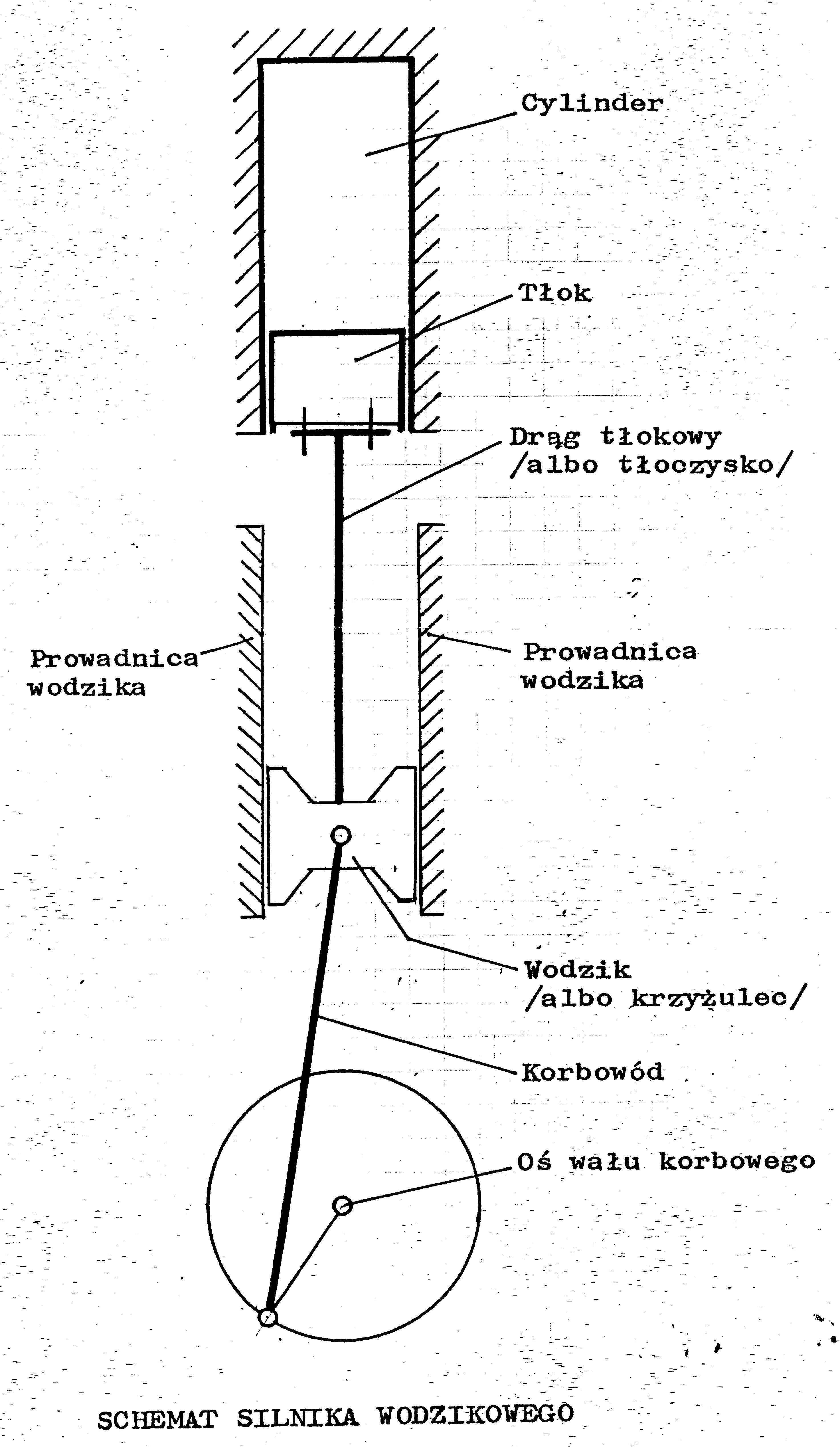 Mimośród-wodzikowy1a.jpg