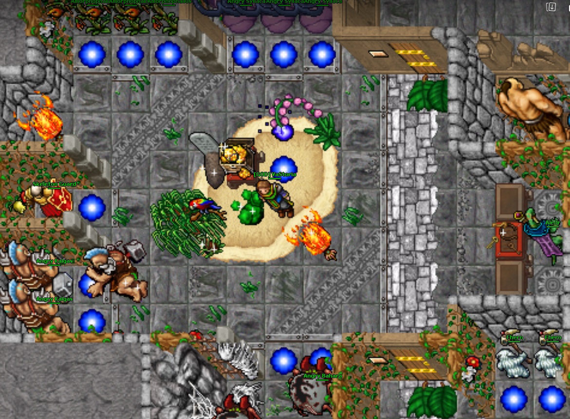 Vastoria.eu EVO 8.6 Next Edition 10.12.2022-vas7.jpg