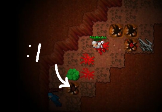 Screeny z Tibiantisa :-)-11111111.jpg