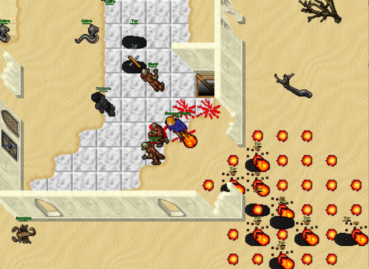 Screeny z Tibiantisa :-)-ank1.jpg