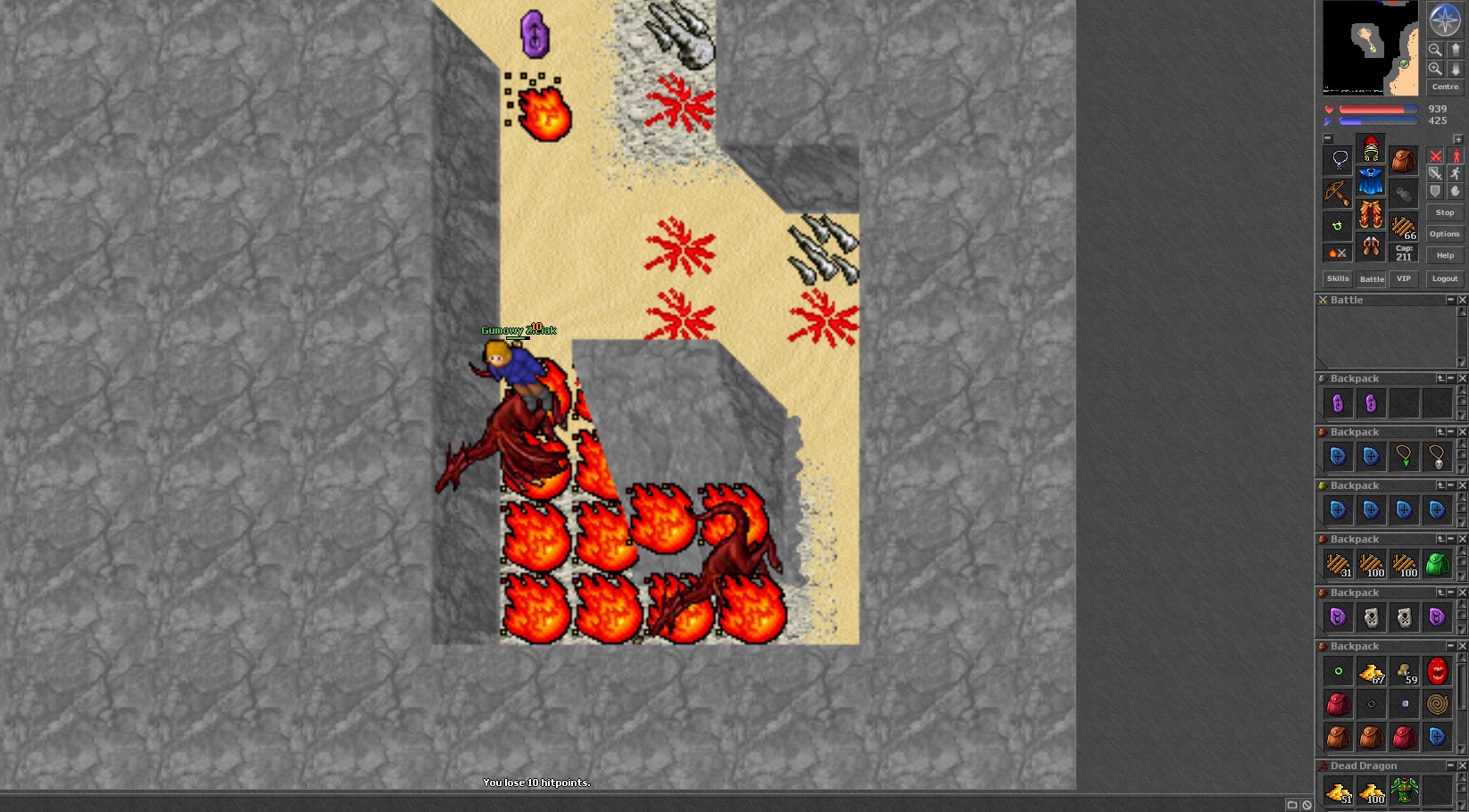 Screeny z Tibiantisa :-)-dsm.jpg