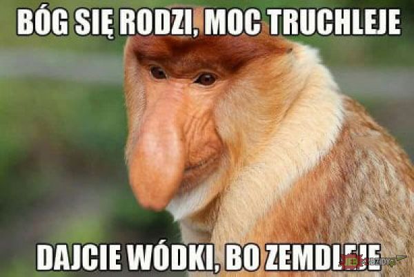 Wesołych Świąt-61c1814a55598747d65c988dc41f6a3a.jpg