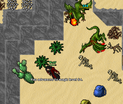 Screeny z Tibiantisa :-)-image_2022-12-31_202344507.png