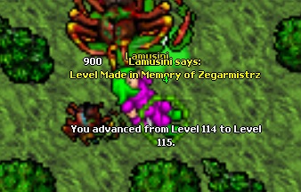Lamusini life thread-115.jpg