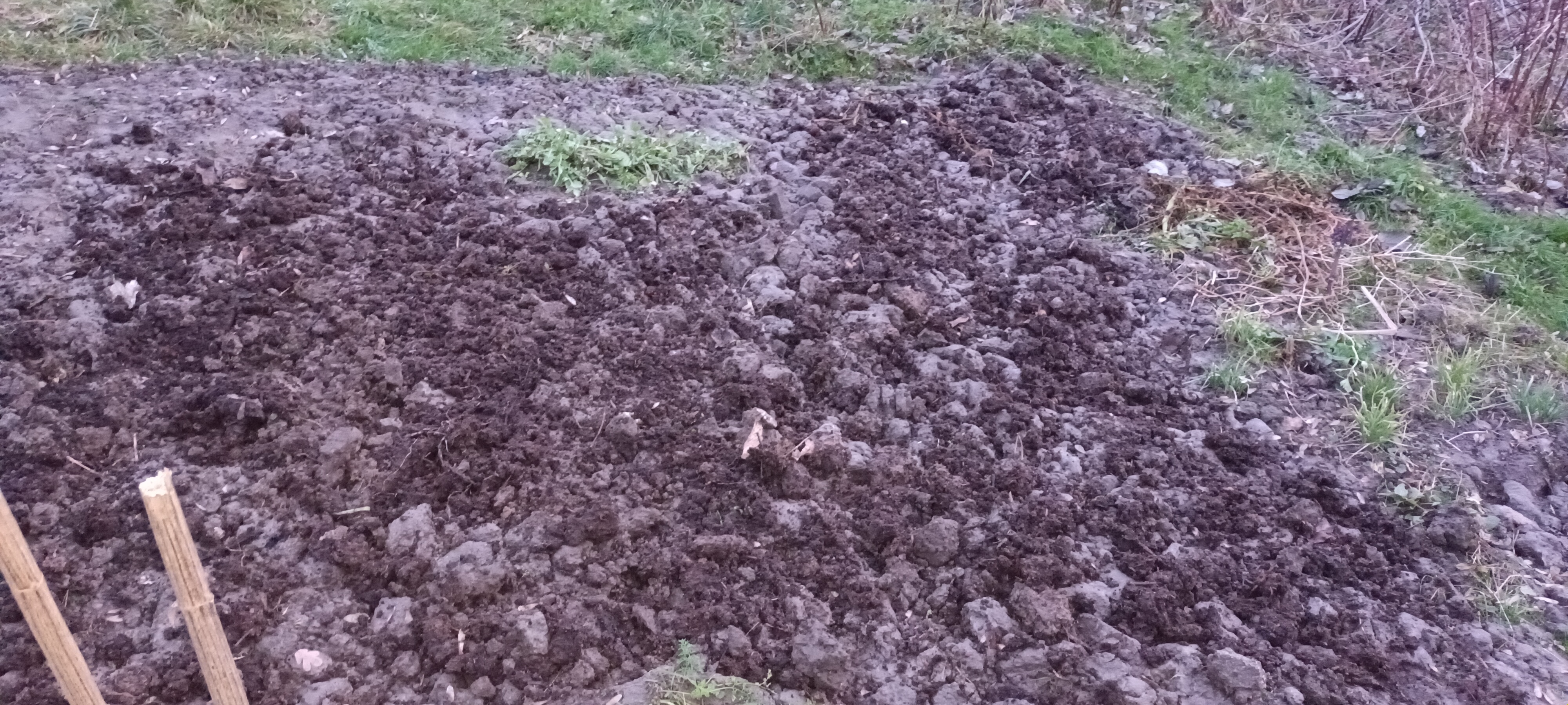 Działka i ogrodnictwo - moje hobby - temat ogólny-20230103_160618-1-.jpg