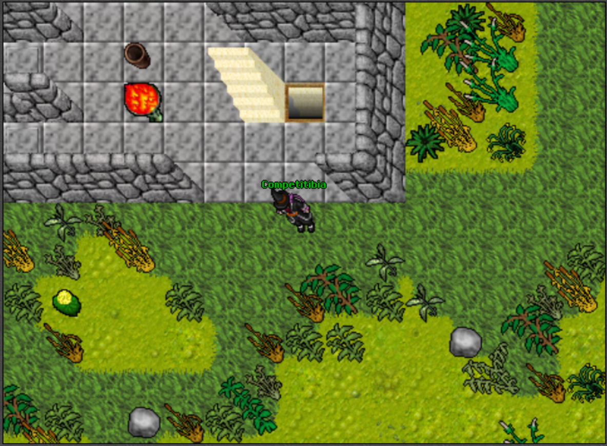 [7.4] [RL+] [22/02/2023][Competitibia] [No boat] no resets.-competitibia2.png