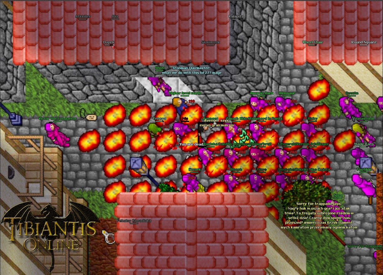 Noobwar event - Carlin vs Ab'Dendriel 21:00 CET 01.02.2023-noobwar_ue.jpg