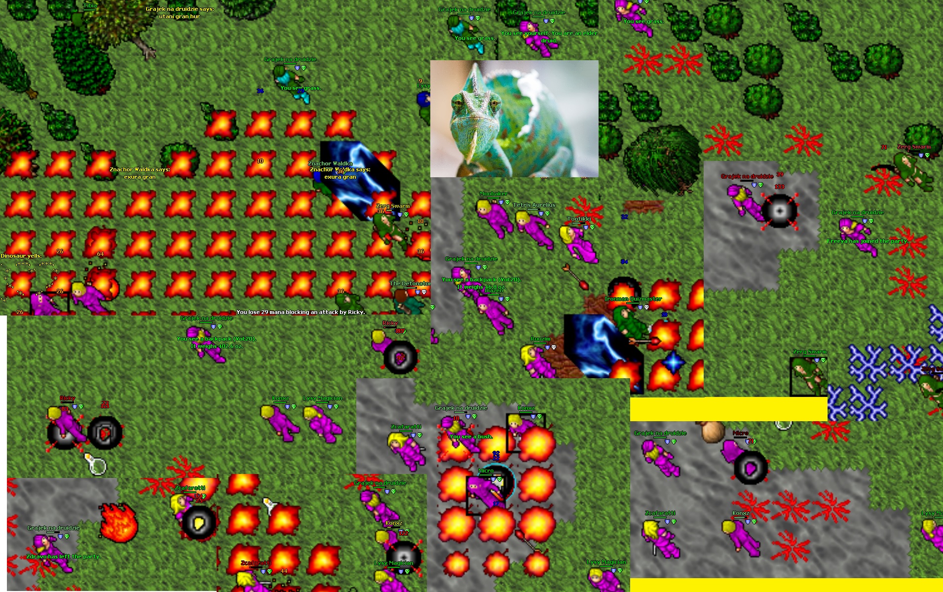 Noobwar event - Carlin vs Ab'Dendriel 21:00 CET 01.02.2023-kameleon.jpg