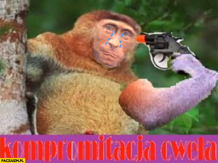 Wojna na Ukrainie-putin-malpa-kompromitacja-cwela-przerobka.jpg