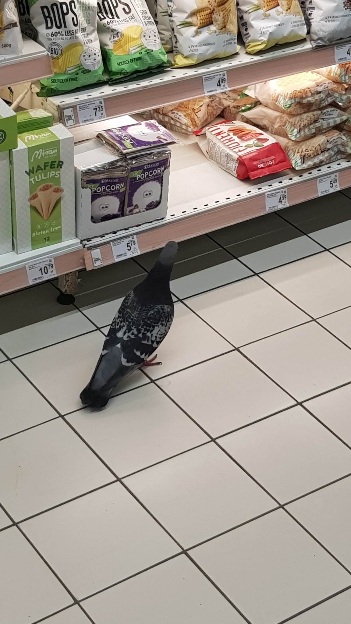 Pokaż talerz - Wizualny foodporn i rozmowy przy jedzeniu !-golomp.jpeg