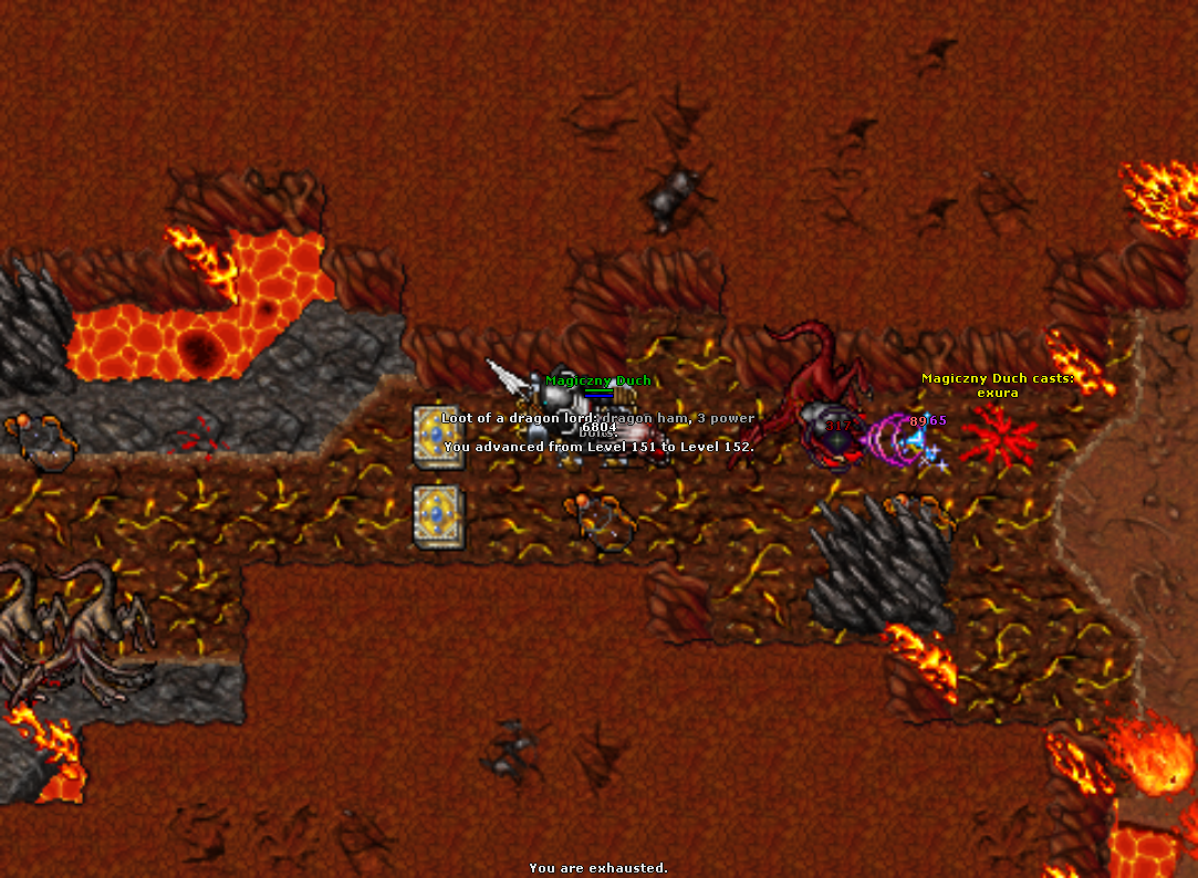 All Pics Thread - zdjecia ze wszystkich serwerow-2023-03-05_084927730_magiczny-duch_levelup.png