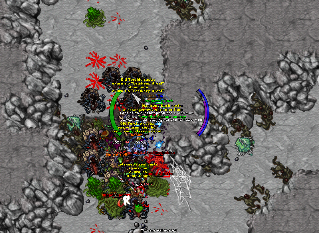 All Pics Thread - zdjecia ze wszystkich serwerow-2023-04-04_193619035_magiczny-duch_levelup.png