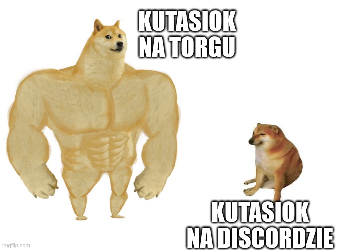 Tibia bot 2022-7iuqer.jpg