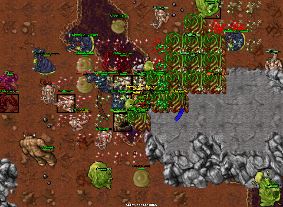 All Pics Thread - zdjecia ze wszystkich serwerow-2023-05-01_171546396_magiczny-duch_deathpve.png