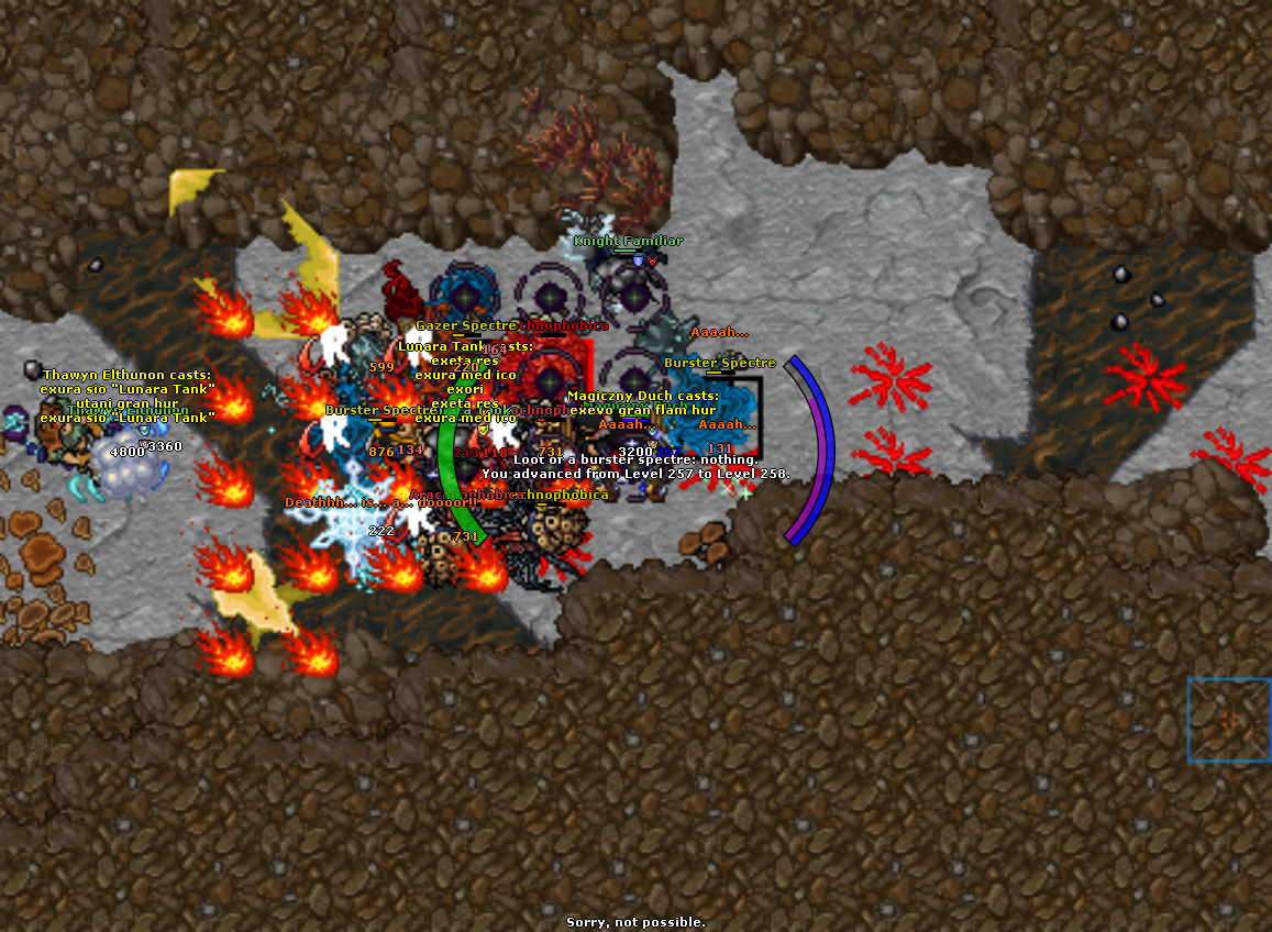 All Pics Thread - zdjecia ze wszystkich serwerow-2023-05-01_180155764_magiczny-duch_levelup.png