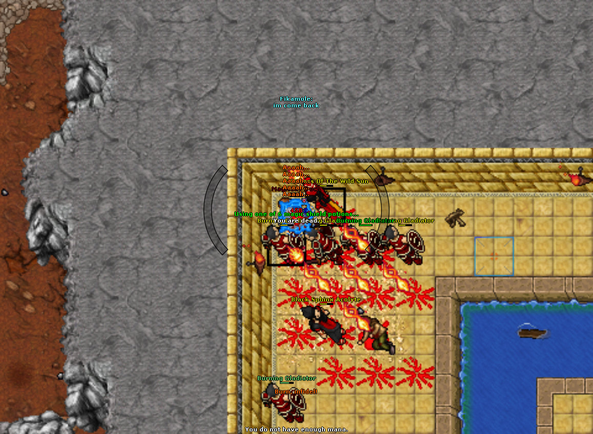 All Pics Thread - zdjecia ze wszystkich serwerow-2023-05-07_015329575_magiczny-duch_deathpve.png