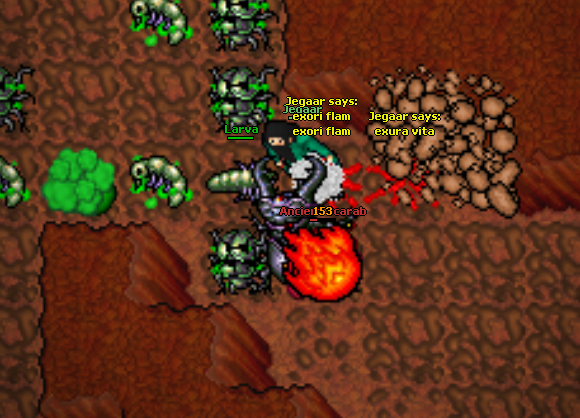 Screeny z Tibiantisa :-)-screenshot_1.png