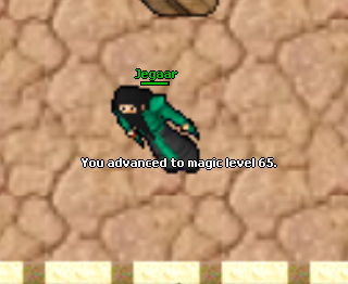 Screeny z Tibiantisa :-)-65mlvl.png