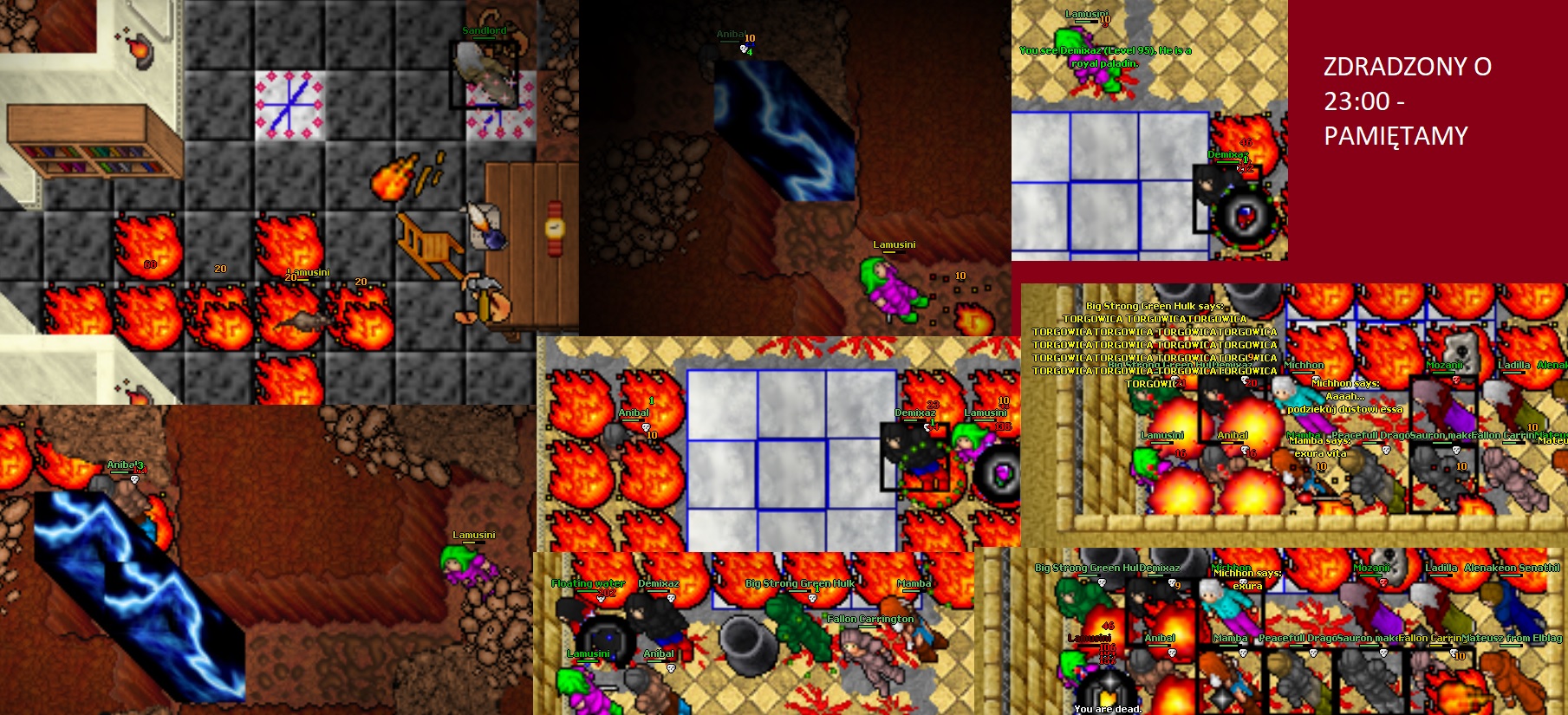 Lamusini life thread-dead_119.jpg