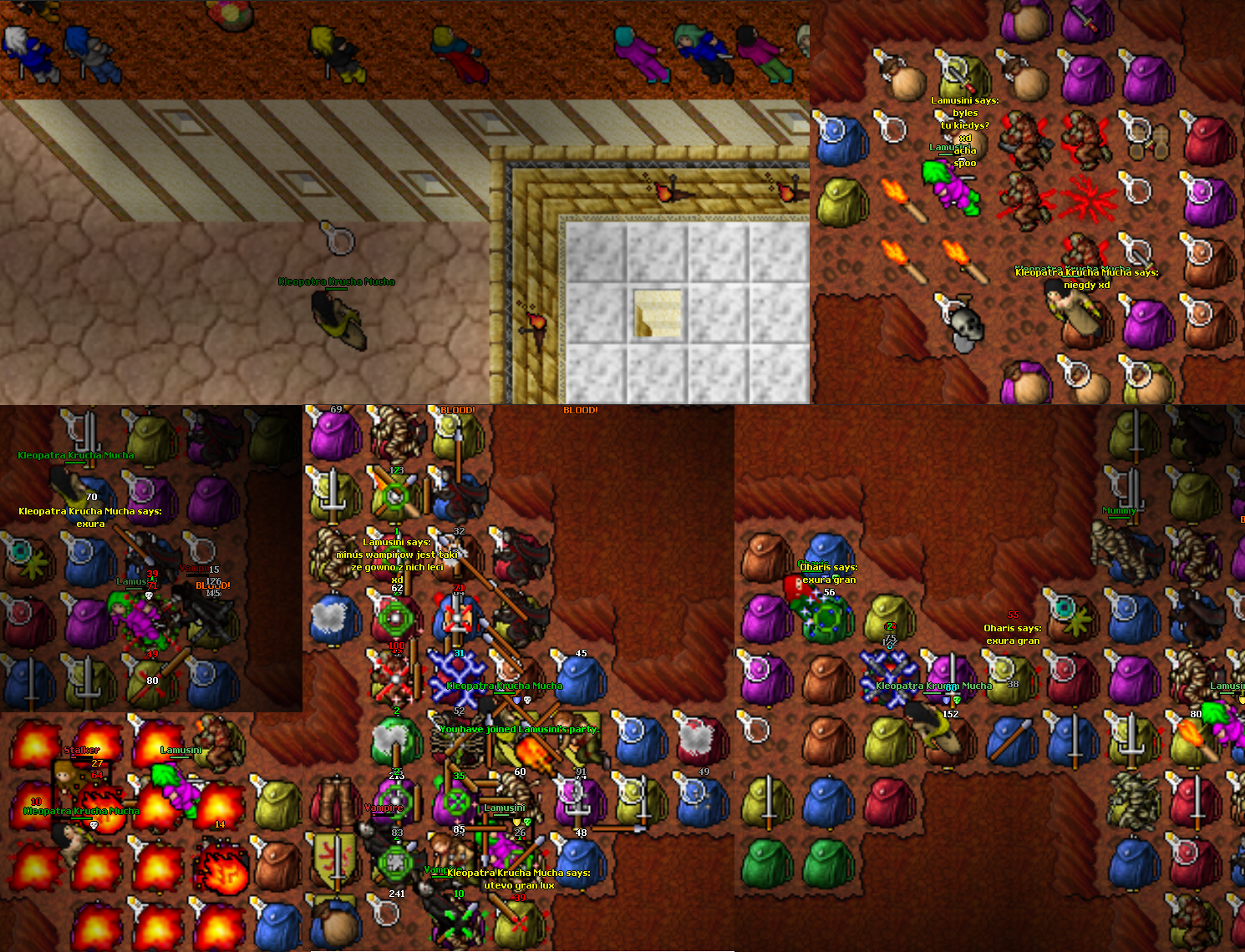 Screeny z Tibiantisa :-)-drefia.png