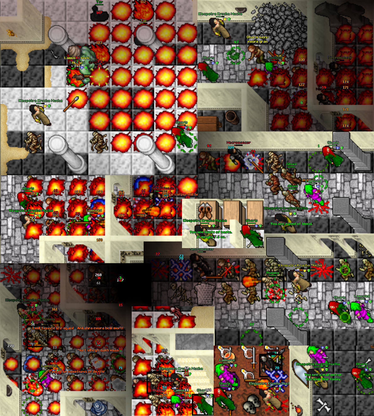 Screeny z Tibiantisa :-)-ank2.png