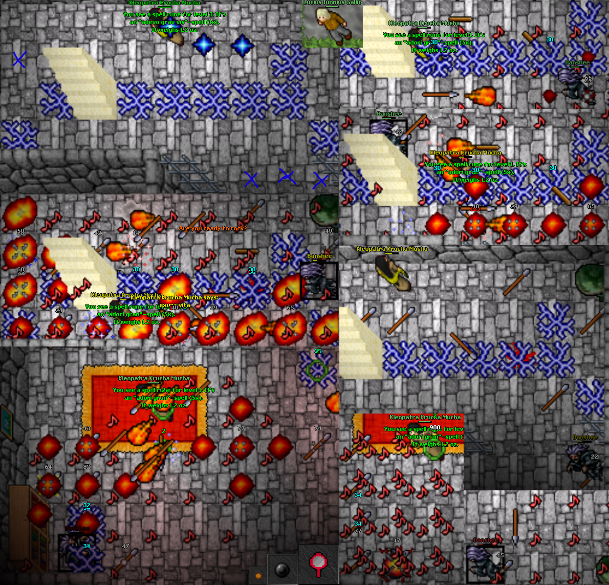 Screeny z Tibiantisa :-)-bansziwin.png