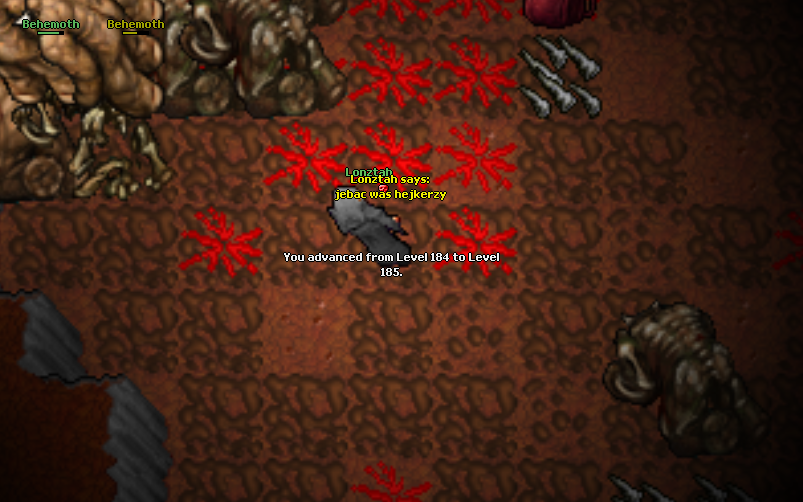 Screeny z Tibiantisa :-)-c1cd00497a564494ea3f940a5fc89f33.png