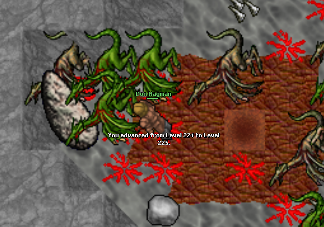 Screeny z Tibiantisa :-)-225-mini.png
