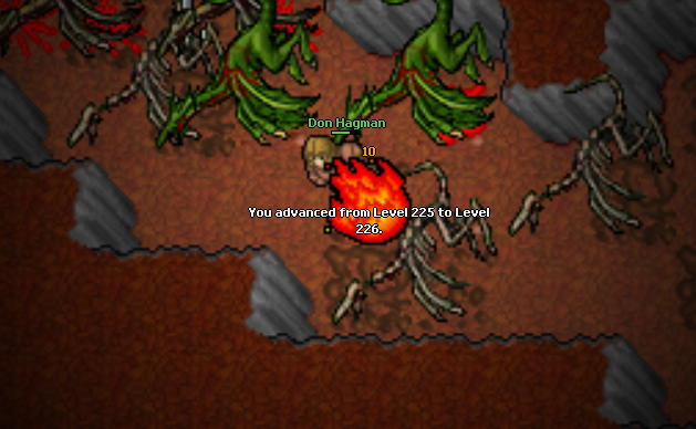 Screeny z Tibiantisa :-)-226-mini.png