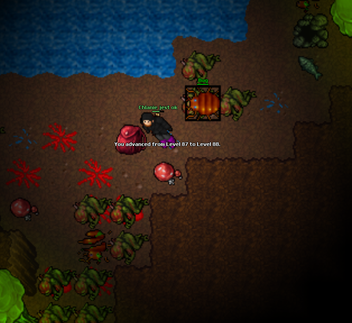 Screeny z Tibiantisa :-)-88.png