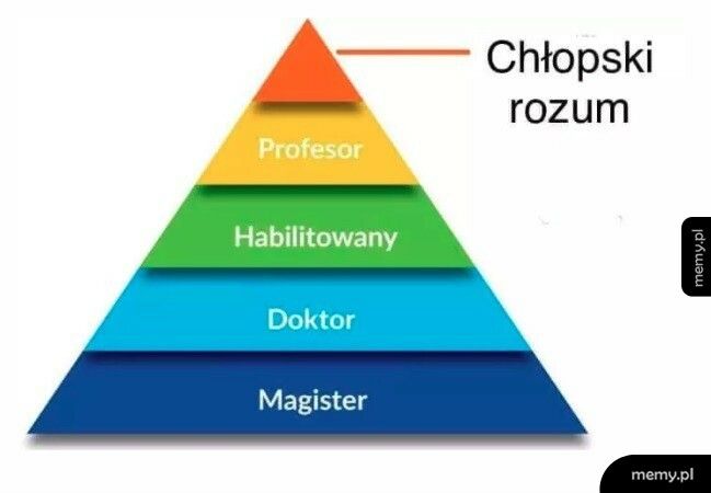 Wybory Parlamentarne Anno Domini 2023-16196268967952.jpg