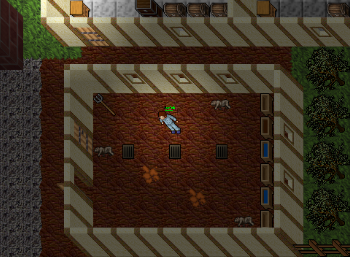 Screeny z Tibiantisa :-)-kible.png