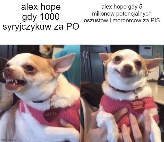 Wybory Parlamentarne Anno Domini 2023-8me037.jpg