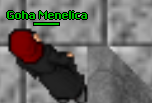 Screeny z Tibiantisa :-)-ggoha.png