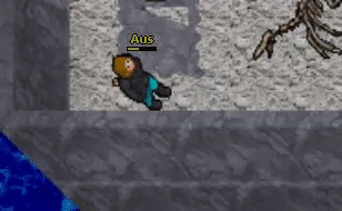 Screeny z Tibiantisa :-)-69f1ec890437a9fae5b5e7b6a5880834.gif