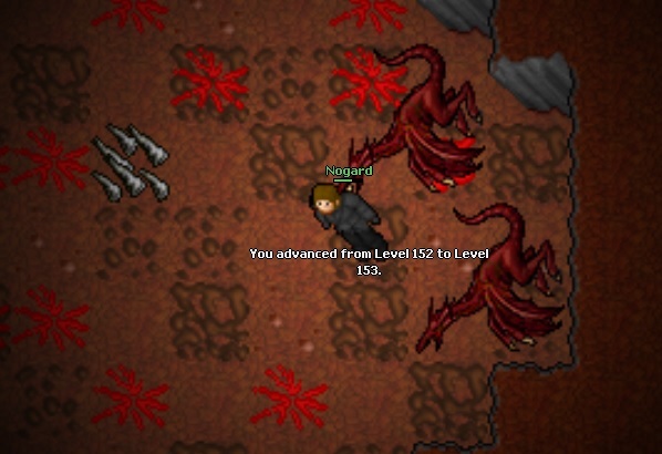 Screeny z Tibiantisa :-)-153.jpg