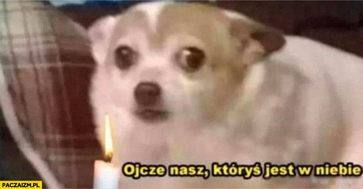 Piłka Nożna-image.png