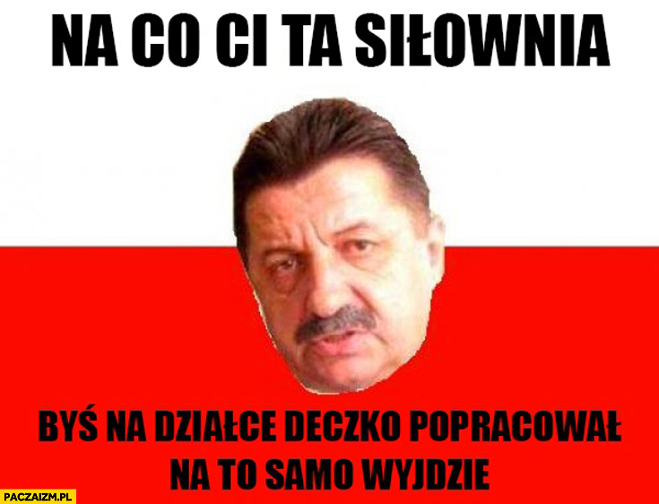 Luźne rozmowy na siłce-na-co-ci-ta-silownia-bys-na-dzialce-deczko-popracowal-na-samo-wyjdzie.jpg