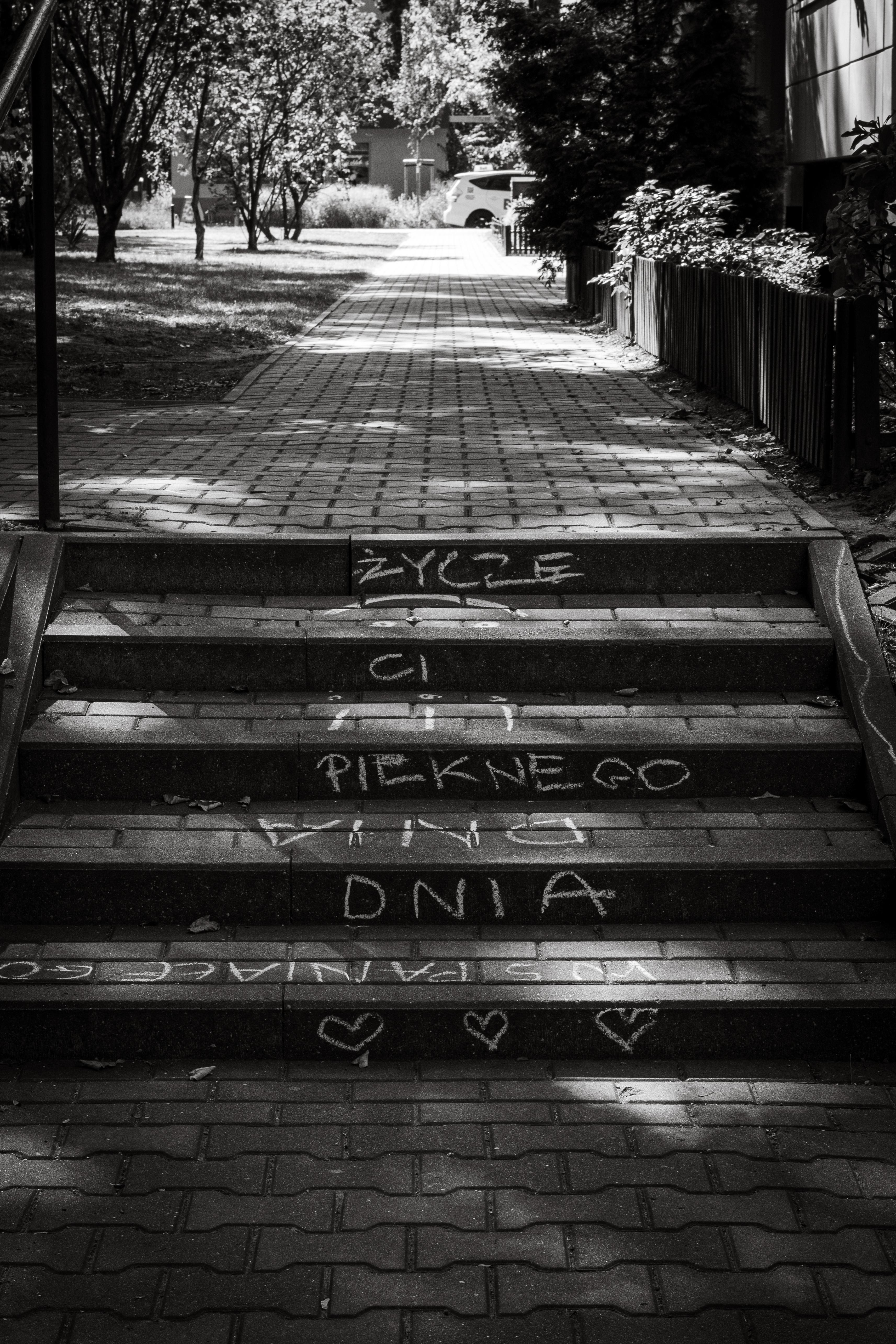 Zdjecia IRL (nie twarze!)-dsc_7862.jpg