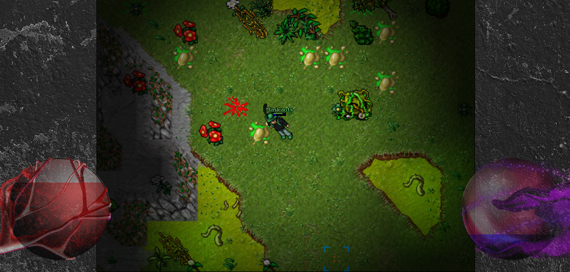 [FRANCE] [8.0/CUSTOM] [CUSTOM]--MaskaOTS ACT II--[RPG/PVP] [23.08.2024  6 p.m. CEST]-10.png