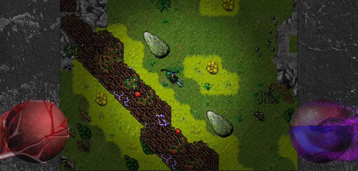 [FRANCE] [8.0/CUSTOM] [CUSTOM]--MaskaOTS ACT II--[RPG/PVP] [23.08.2024  6 p.m. CEST]-8.png