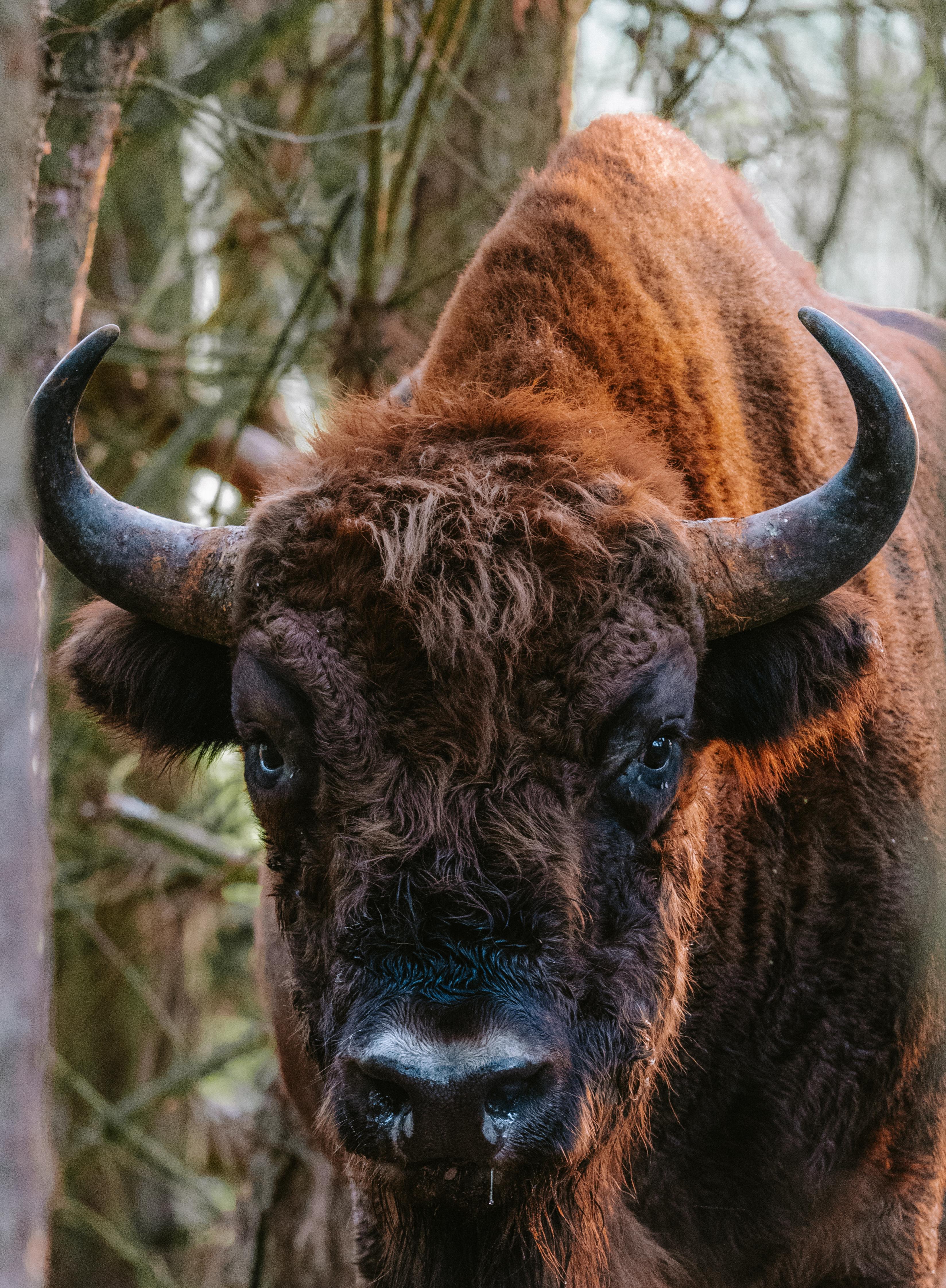 Zdjecia IRL (nie twarze!)-_dsc7017.jpg