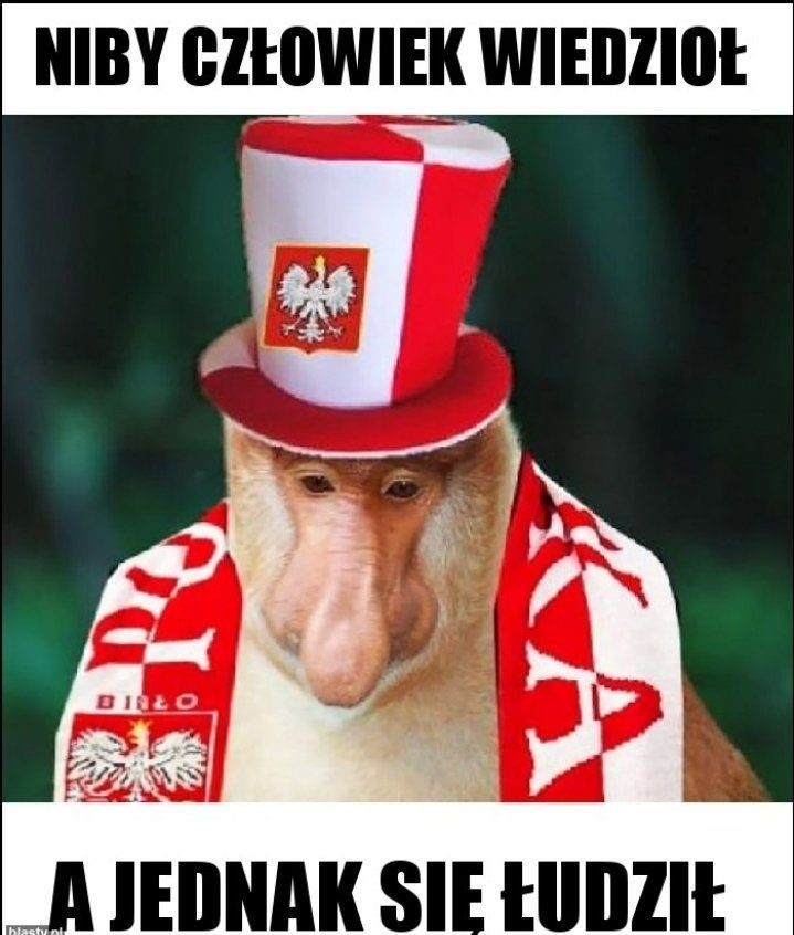 Piłka Nożna-image.png