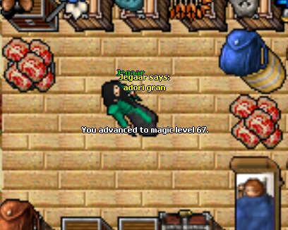 Screeny z Tibiantisa :-)-67mlvl.png