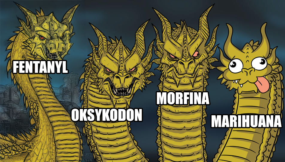 Wiadomości z kraju i ze świata-image.png
