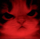 Wiadomości z kraju i ze świata-image.png