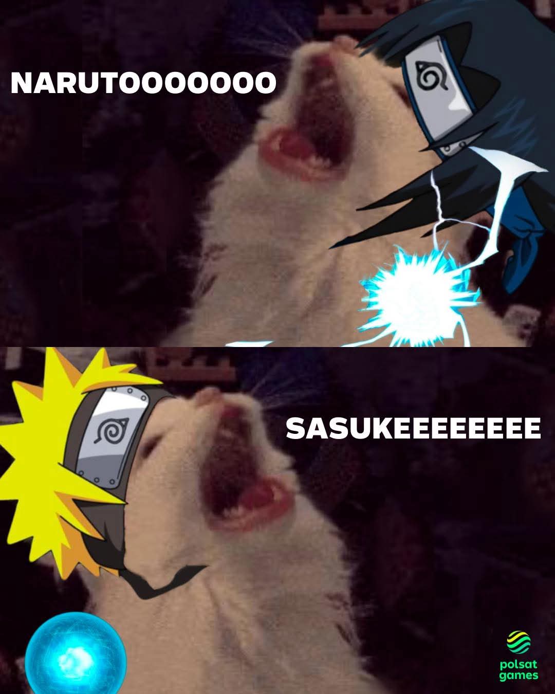 Bleach - rozmowy ogólne-fb_img_1734549044915.jpg