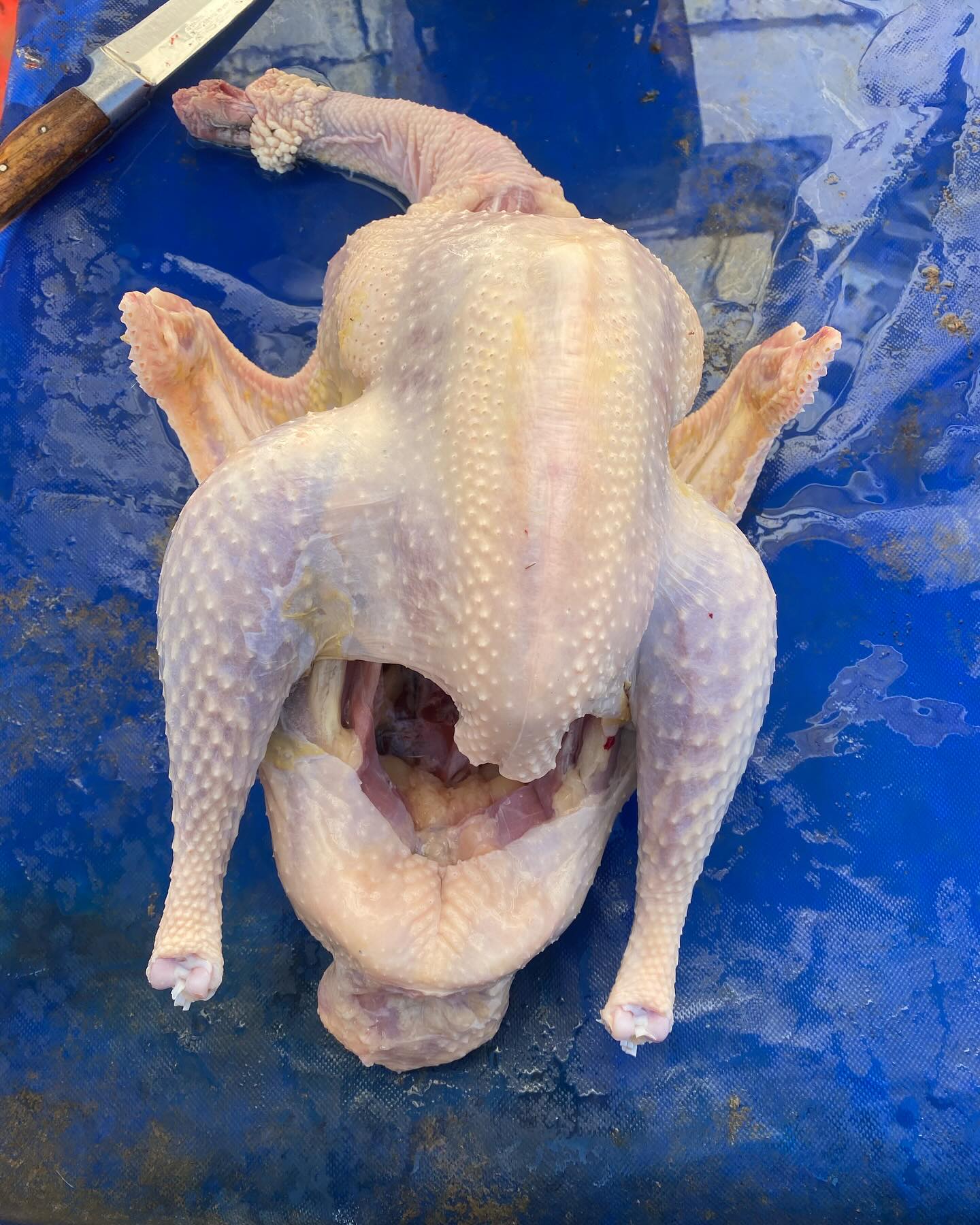Pokaż talerz - Wizualny foodporn i rozmowy przy jedzeniu !-470936959_17902383867093952_2331080339161383574_n.jpg